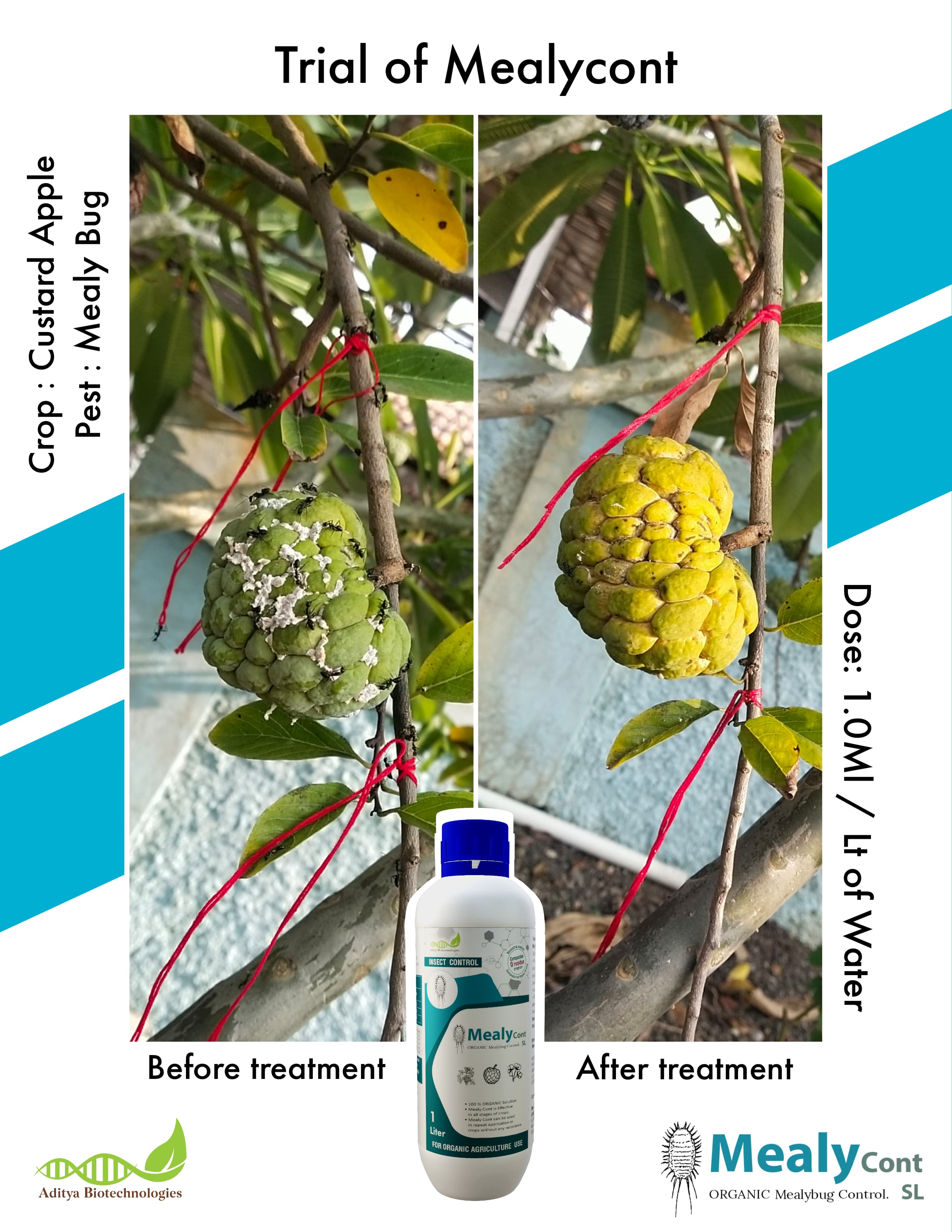 WhatsApp Image 2025-04-02 at 10.07.05 AM (2).jpeg